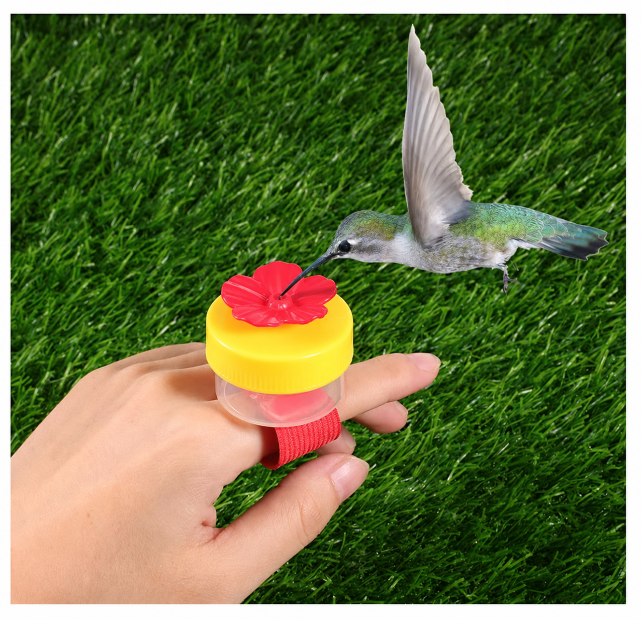 π¦π Hummingbird Feeder Ring