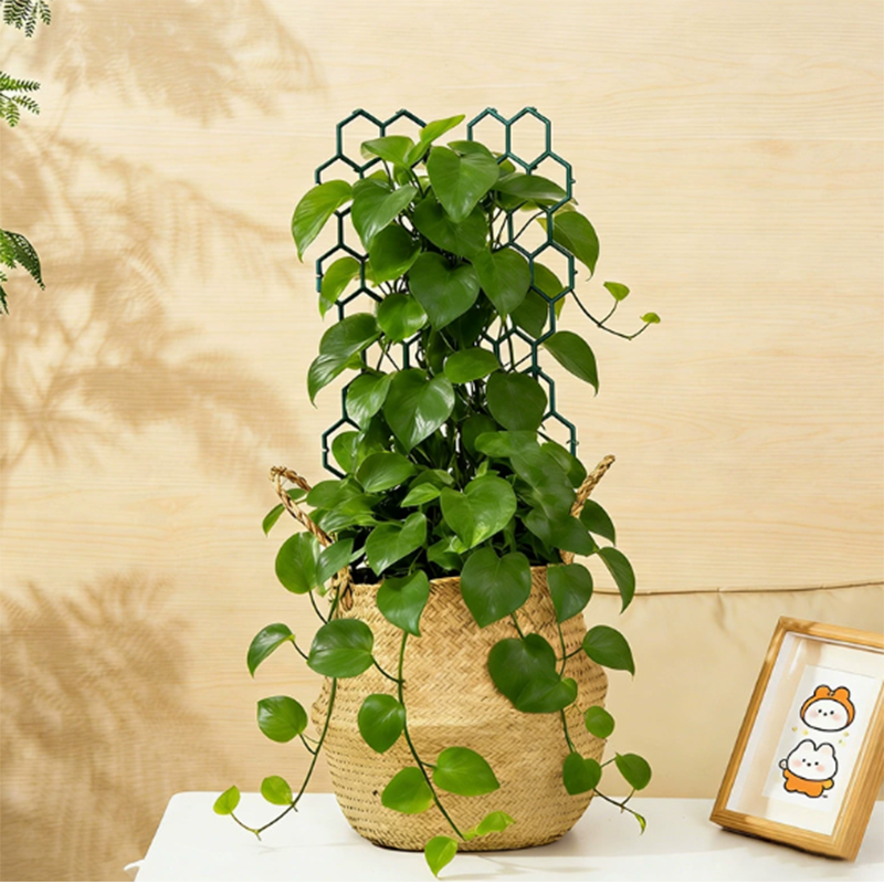 πΏ LIMITED-TIME 50% OFF! β¨ Honeycomb Plant Trellis β Rust-Proof, Stackable, Easy Install π