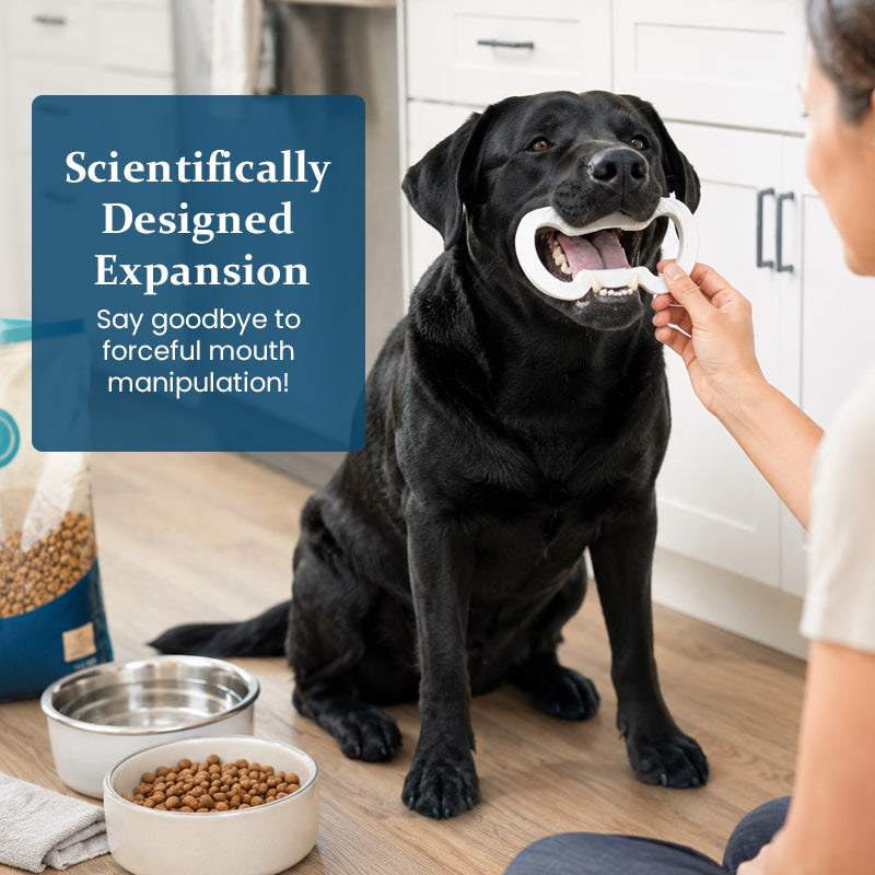 Dog Bite Block for Dental Cleaning