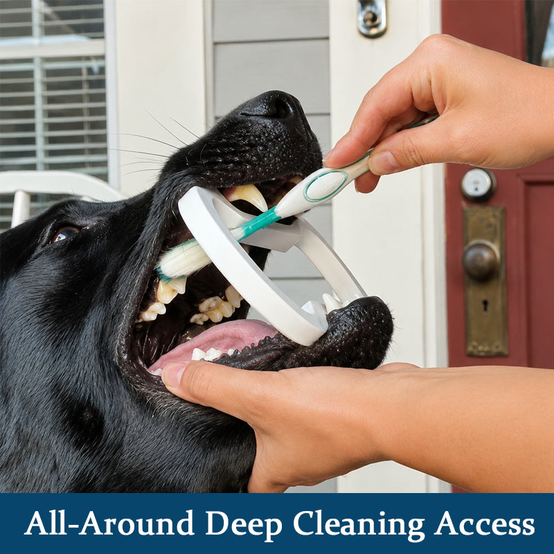 Dog Bite Block for Dental Cleaning