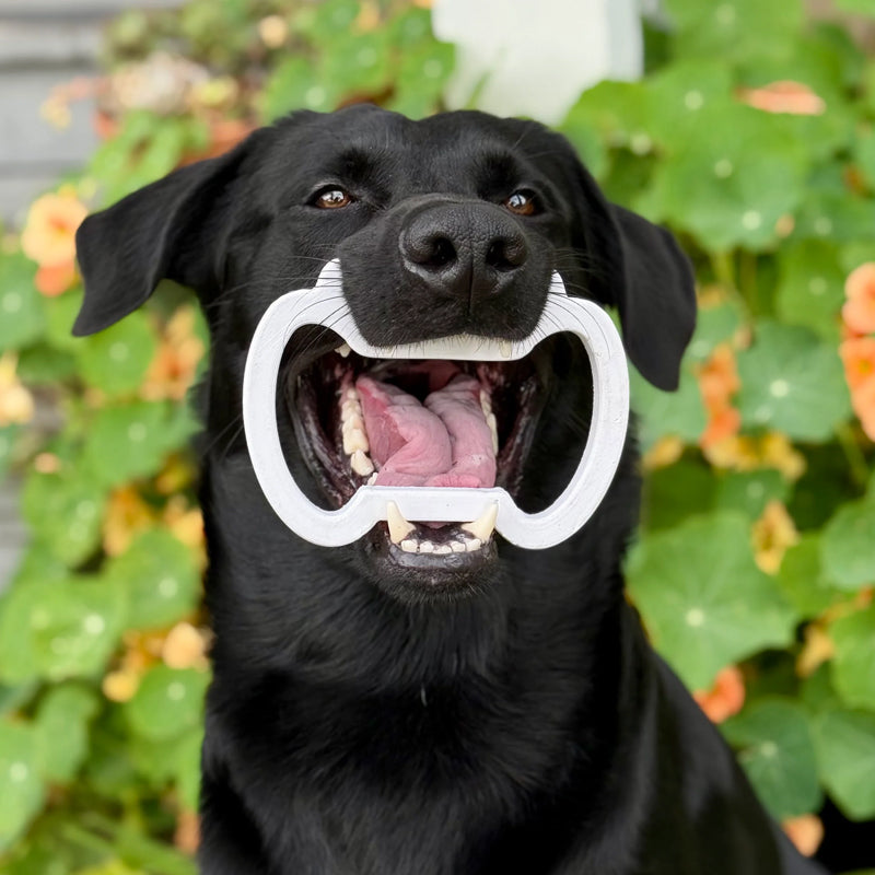 Dog Bite Block for Dental Cleaning