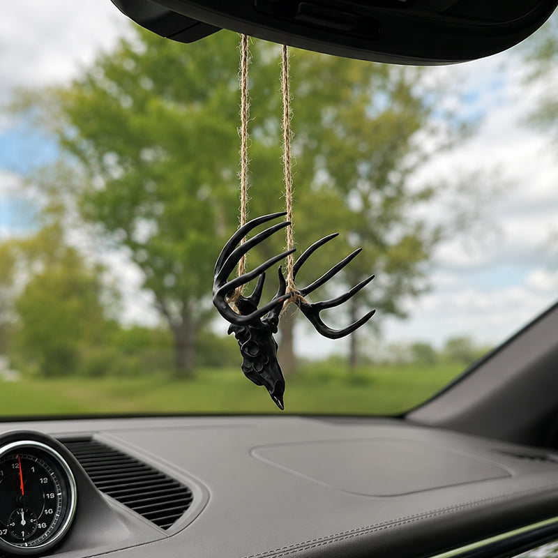 Mini Whitetail Deer Skull & Antler Display