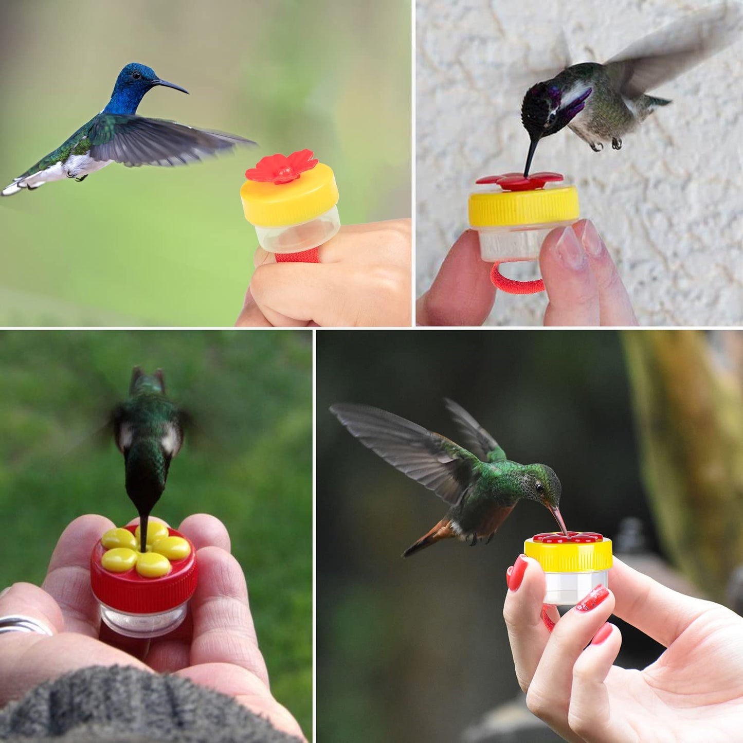 🐦💍 Hummingbird Feeder Ring