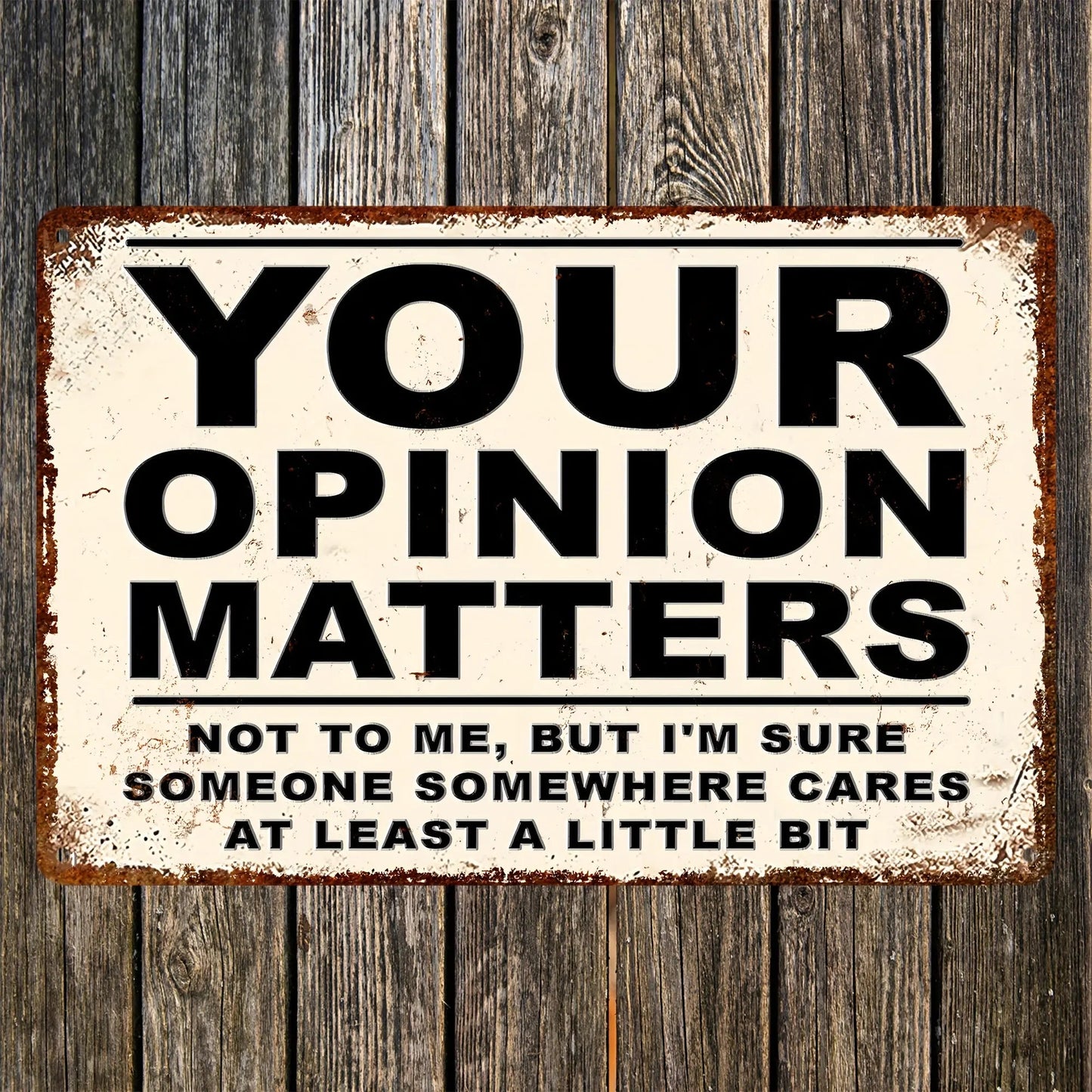 Sarcastic Metal Vintage Aluminum Signs